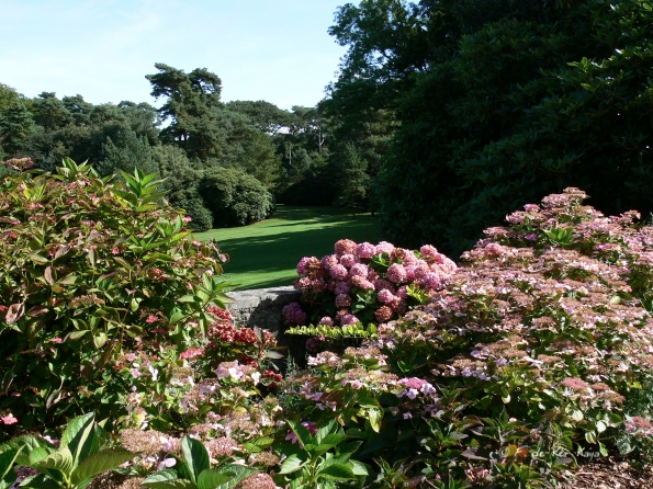 Bois des Moutiers  (46) Summer 2012